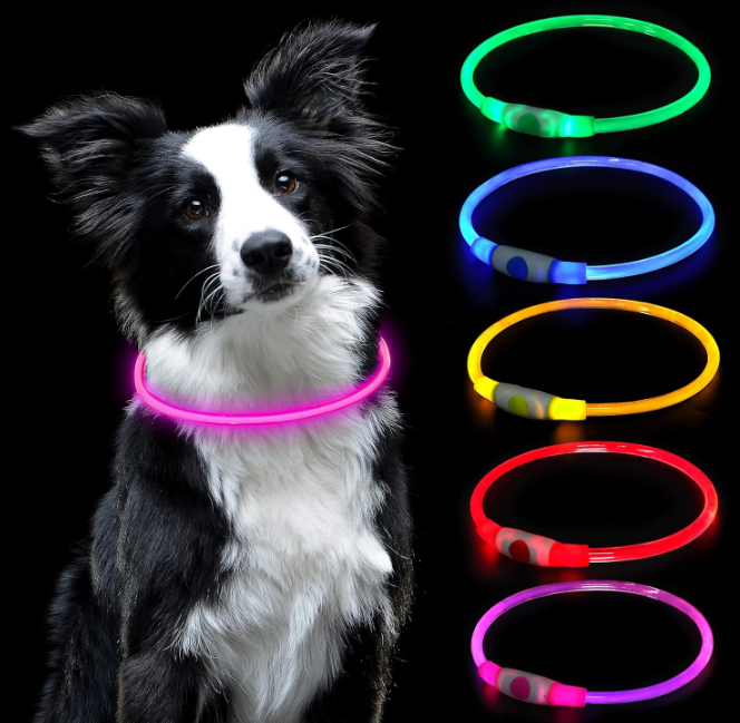 Un collier lumineux pour chien de marque auauy