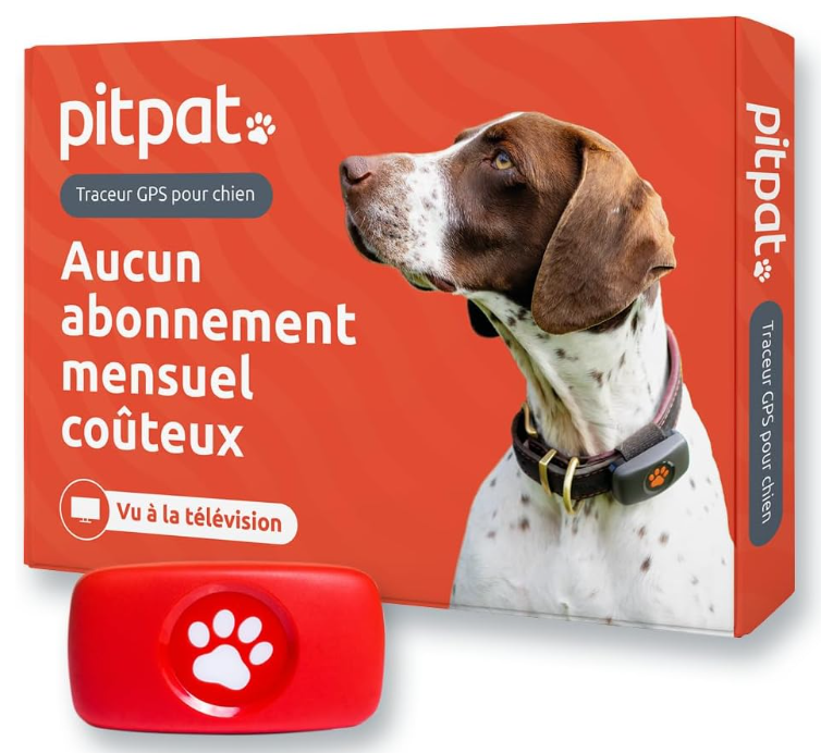 Un collier traceur GPS pour chien de marque PitPat