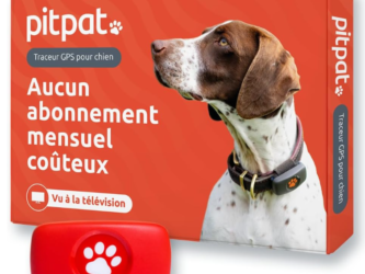 Un collier traceur GPS pour chien de marque PitPat